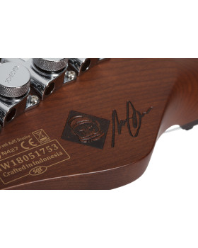SCHECTER NICK JOHNSTON DS TRAD A.GREEN - Електрична гітара-foto12