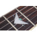 SCHECTER OMEN EXTREME-6 BCH - Електрична гітара