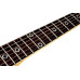 SCHECTER Shaun Morgan Signature 3TSB - Електрична гітара
