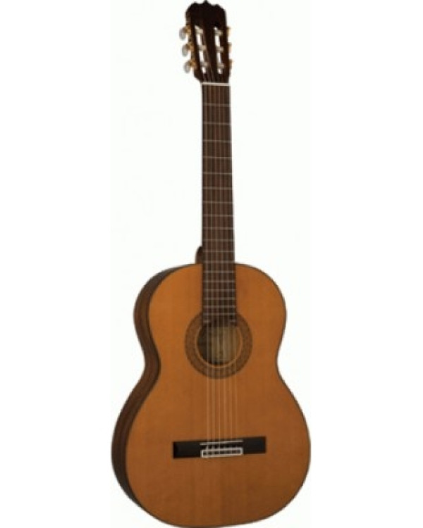 ALVAREZ AC460U Гітара класична
