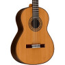 ALVAREZ AC460U Гітара класична