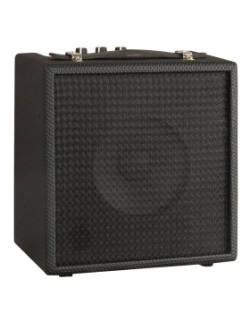 AXL AA010 NL Комбопідсилювач