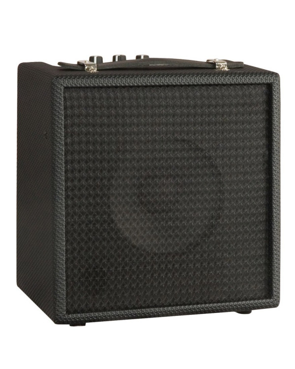 AXL AA010 NL Комбопідсилювач
