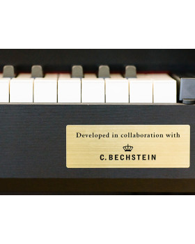 CASIO-BECHSTEIN GP-300 Цифрове піаніно-foto4