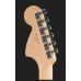 Електрогітара FENDER AMERICAN SPECIAL STRATOCASTER HSS RW BK