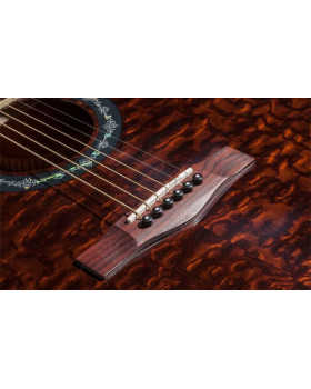 FENDER T-BUCKET 300CE ASH TRANS DARK BROWN-foto4
