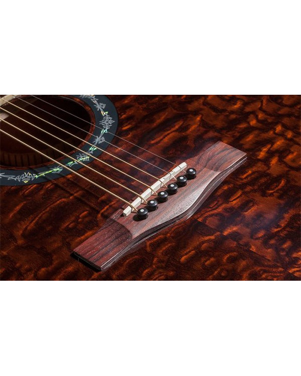 FENDER T-BUCKET 300CE ASH TRANS DARK BROWN