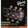 GIBSON SEG-SA9 HUMBUCKER SPECIAL ALLOY Струни для електрогітари