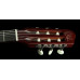 GODIN ACS Cedar Black Pearl with Bag Гітара електроакустична