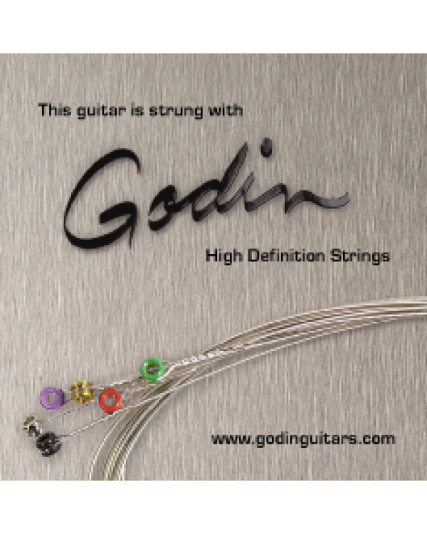 Струни для електрогітари Godin Strings Electric Guitar 10