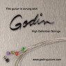 Струни для електрогітари Godin Strings Electric Guitar 10