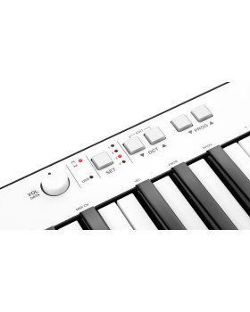 IK MULTIMEDIA iRIG KEYS PRO-foto4
