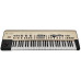 KORG KINGKORG Синтезатор аналогового моделювання