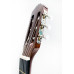 Гітара класична MAXTONE CGC-3920
