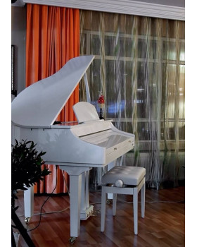 Цифровий рояль Medeli Grand 500GW-foto2
