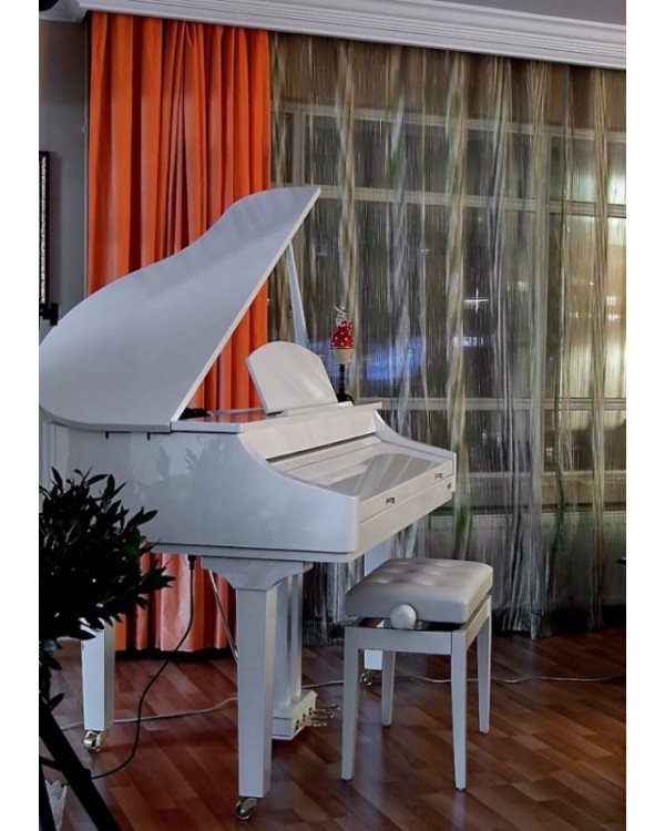 Цифровий рояль Medeli Grand 500GW