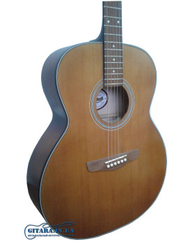 RENOME RGL10 Гітара акустична-foto2