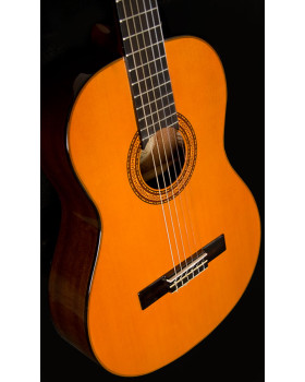 WASHBURN C5 Гітара класична-foto5
