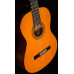 WASHBURN C5 Гітара класична