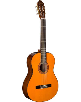 WASHBURN C5 Гітара класична