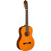 WASHBURN C5 Гітара класична