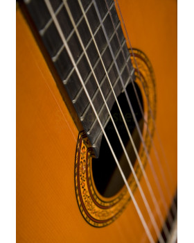 WASHBURN C5 Гітара класична-foto6
