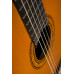 WASHBURN C5 Гітара класична