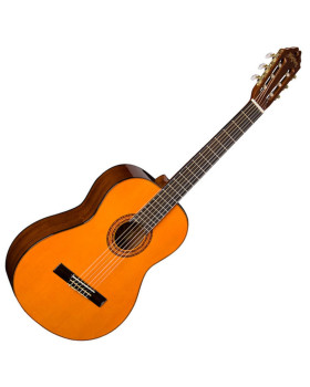 WASHBURN C5 Гітара класична-foto4