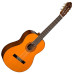 WASHBURN C5 Гітара класична
