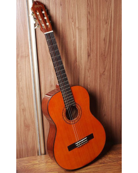 WASHBURN C5 Гітара класична-foto3