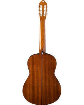 WASHBURN C5 Гітара класична-foto2