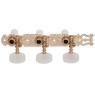Кілки для класичної гітари, 3+3 GOTOH 35G420 SG