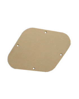 PAXPHIL BC002 CONTROL BACK PLATE (IVORY)
