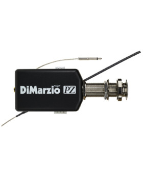DIMARZIO DP233