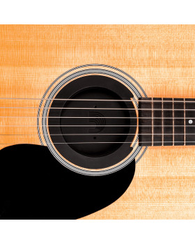 PLANET WAVES PWSH01 Пригнічувач зворотного зв'язку для акустичних гітар-foto2