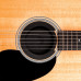 PLANET WAVES PWSH01 Пригнічувач зворотного зв'язку для акустичних гітар