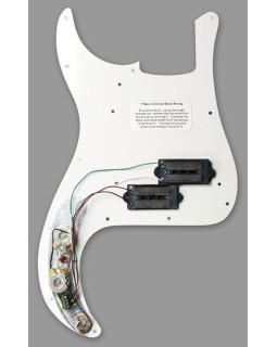 Пікгард DIMARZIO FB2100WA1BK-foto2
