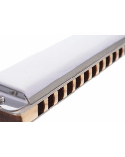 SEYDEL SOLIST PRO 12 Steel C-major-foto2