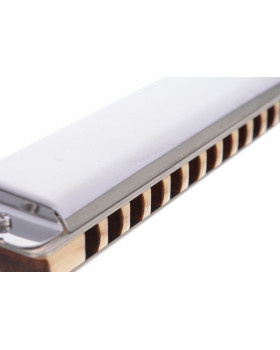 SEYDEL SOLIST PRO 12 Steel C-major-foto2
