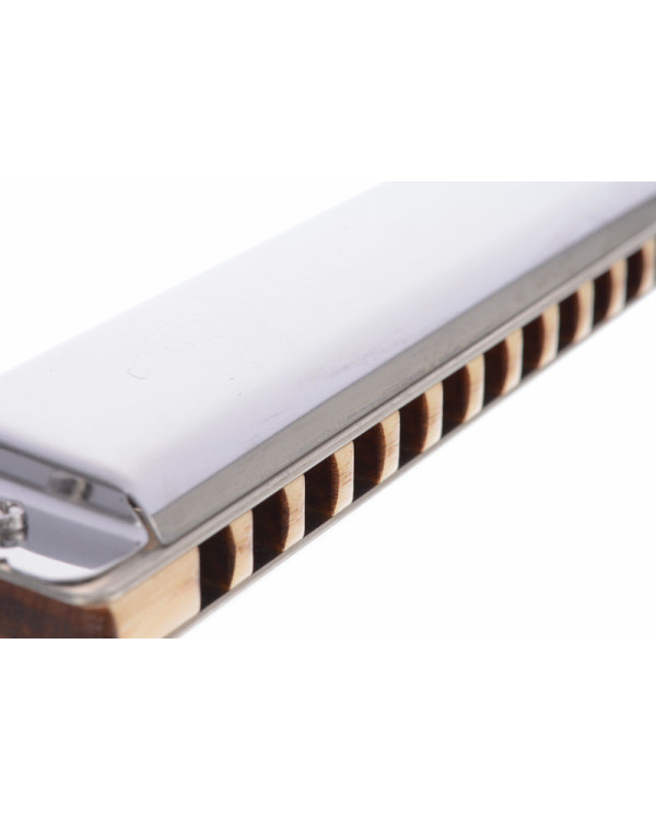 SEYDEL SOLIST PRO 12 Steel C-major