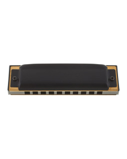 Гармошка губна HOHNER ProHarp C-foto3