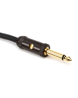 D'ADDARIO PW-AGLRA-10 Curcuit Breaker Latching Switch (3m)-foto3