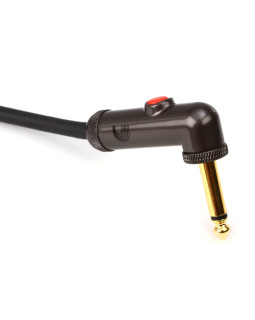 D'ADDARIO PW-AGLRA-10 Curcuit Breaker Latching Switch (3m)-foto4
