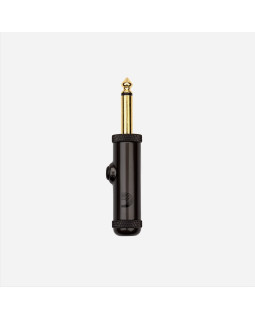 PLANET WAVES PW-AGP-1
