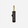 PLANET WAVES PW-AGP-1