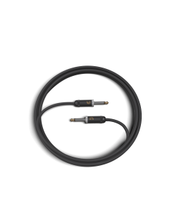 D'ADDARIO PW-AMSG-10 American Stage (3m)-foto3