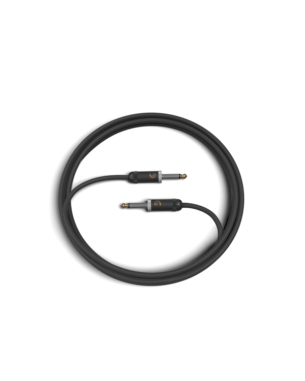 D'ADDARIO PW-AMSG-10 American Stage (3m)