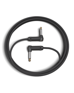 D'ADDARIO PW-AMSGRR-10 American Stage, Right-to-Right (3m)-foto3