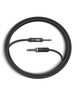 D'ADDARIO PW-AMSK-10 American Stage Kill Switch (3m)-foto3