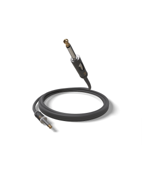 D'ADDARIO PW-AMSK-20 American Stage Kill Switch (6m)-foto4